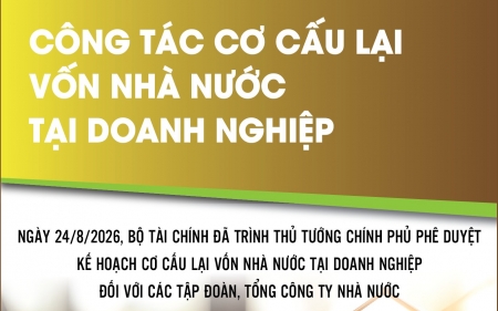 Infographics: Công tác cơ cấu lại vốn nhà nước tại doanh nghiệp