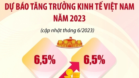 Dự báo tăng trưởng kinh tế Việt Nam 2023