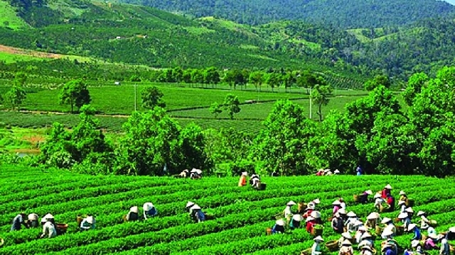 Ưu tiên sử dụng nguồn lực từ ngân sách nhà nước về tăng trưởng xanh, chuyển đổi xanh