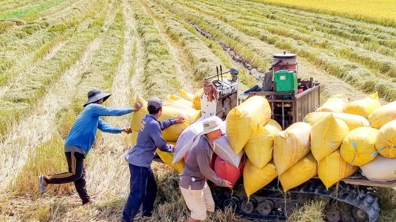 Nông nghiệp là điểm sáng ấn tượng của bức tranh kinh tế Việt Nam