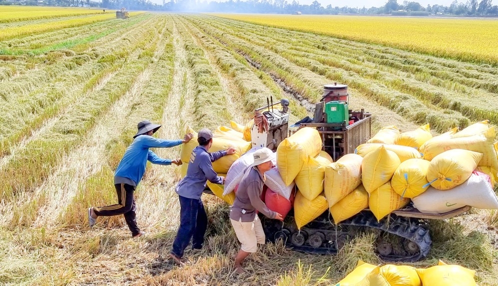 Nông nghiệp là điểm sáng ấn tượng của bức tranh kinh tế Việt Nam