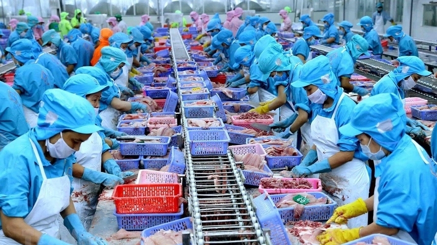 Chất kích thích tăng trưởng vật nuôi, cây trồng, thủy sản thuộc đối tượng áp dụng thuế suất thuế 5%