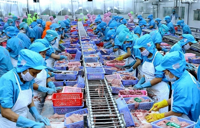 Chất kích thích tăng trưởng vật nuôi, cây trồng, thủy sản thuộc đối tượng áp dụng thuế suất thuế 5%