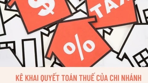 Doanh nghiệp có các chi nhánh, quyết toán thuế có phải khai riêng từng chi nhánh không?