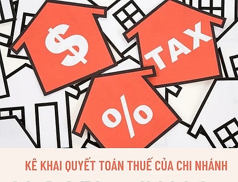 Doanh nghiệp có các chi nhánh, quyết toán thuế có phải khai riêng từng chi nhánh không?