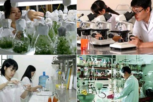 Sẽ phân cấp thẩm quyền trong quản lý, sử dụng tài sản công