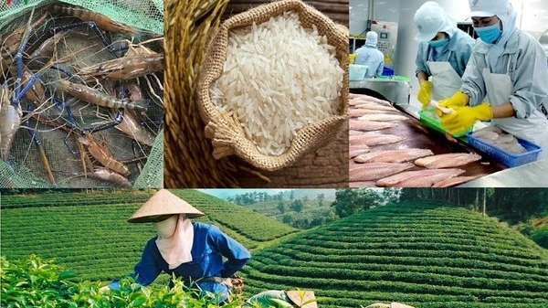 Sản phẩm trồng trọt, chăn nuôi, thủy sản chưa chế biến thành các sản phẩm khác thuộc đối tượng không chịu thuế GTGT