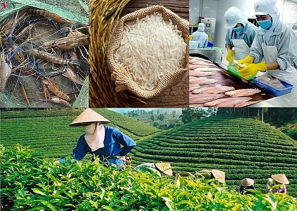 Sản phẩm trồng trọt, chăn nuôi, thủy sản chưa chế biến thành các sản phẩm khác thuộc đối tượng không chịu thuế GTGT