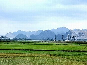 quang nam quy dinh ve don gia thue dat thue mat nuoc