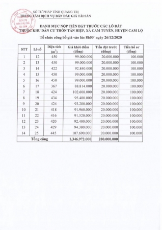 trung tam dich vu ban dau gia tai san tinh quang tri dau gia qsdd