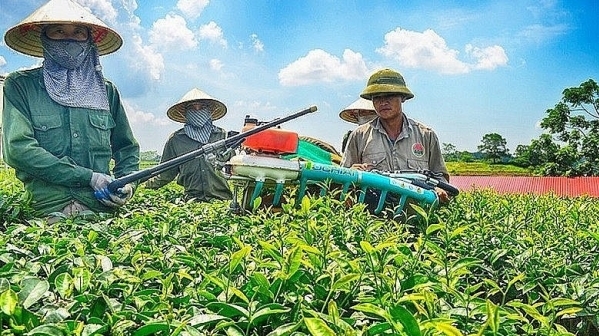 Ban hành cơ chế quản lý tài chính Quỹ Hỗ trợ nông dân