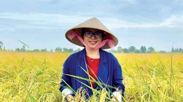Nông nghiệp là điểm sáng ấn tượng của bức tranh kinh tế Việt Nam