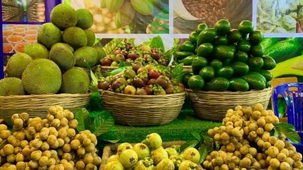 TP. Hồ Chí Minh hướng tới phát triển xuất khẩu xanh, bền vững
