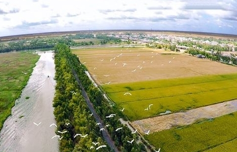 Long An, Đồng Tháp được phép chuyển đổi gần 187 ha đất trồng lúa sang đất phi nông nghiệp