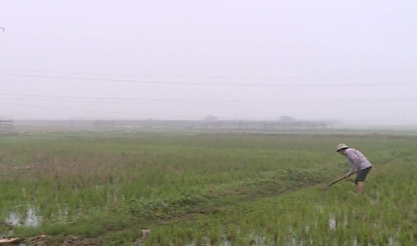 Chuyển mục đích sử dụng hơn 39 ha đất tại Hà Nội ( XB 22/04)