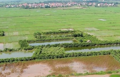 Chấp thuận chuyển mục đích sử dụng đất lúa để thực hiện 3 Dự án tại tỉnh Thái Nguyên và Bắc Giang
