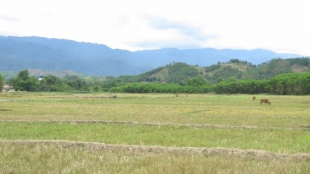 Thừa Thiên Huế: Một số quy định mới về tách thửa đối với đất ở và đất nông nghiệp