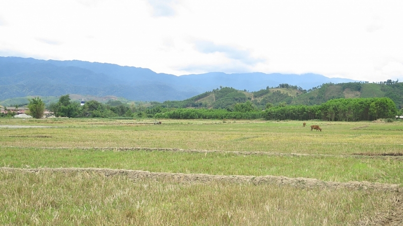 Thừa Thiên Huế ban hành quy định về tách thửa đối với đất ở và đất nông nghiệp (xb29.8)