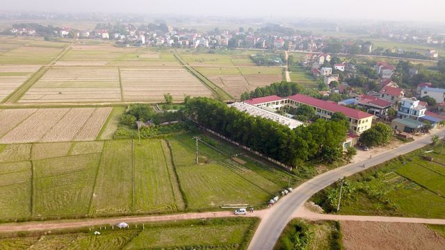 Hà Nội được chấp thuận chuyển mục đích sử dụng hơn 25 ha đất trồng lúa