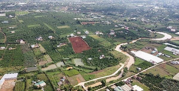 Lâm Đồng: Quy định mới về tách thửa đất ở đô thị và đất nông nghiệp
