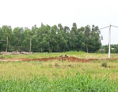 Thái Bình chuyển 33,3 ha đất trồng lúa sang đất phi nông nghiệp phục vụ dự án