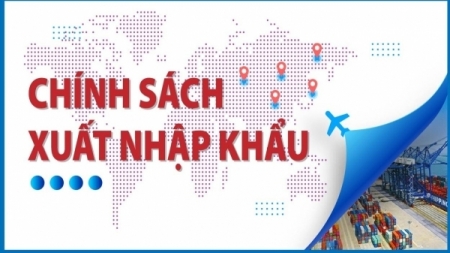 Chính sách trả lại hàng nhập khẩu khi chất lượng không đạt yêu cầu