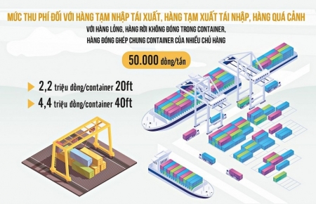 TP. Hồ Chí Minh điều chỉnh giảm mức thu phí hạ tầng cảng biển