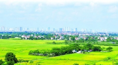 Bắc Giang: Chuyển mục đích sử dụng 83 ha đất trồng lúa sang đất phi nông nghiệp