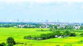 Phú Thọ: Chuyển mục đích sử dụng 30,86 ha đất trồng lúa làm dự án Khu đô thị mới Thanh Minh
