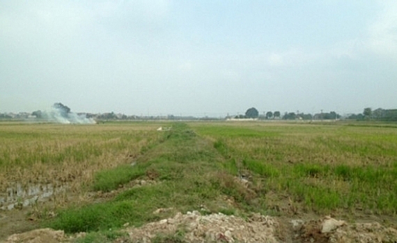 Tháo gỡ vướng mắc đất nông nghiệp không sản xuất được tại Đà Nẵng