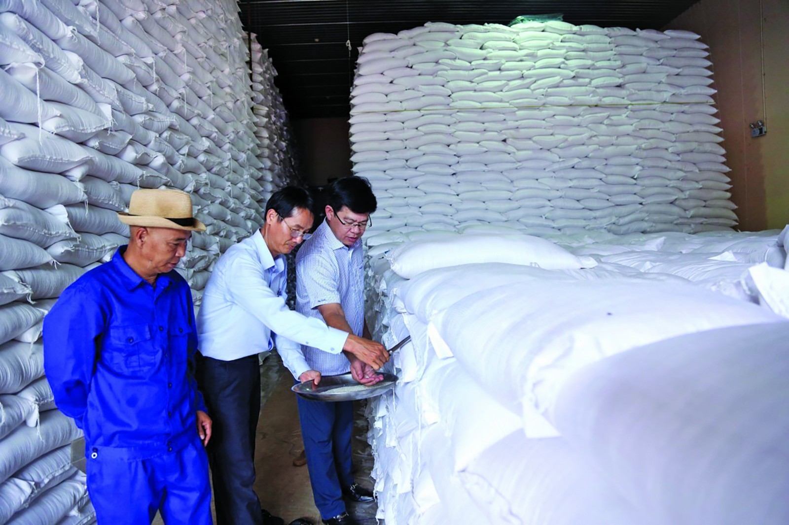 Chi cục Dự trữ Nhà nước khu vực II: Xuất cấp kịp thời, bảo đảm an toàn nguồn lực dự trữ quốc gia