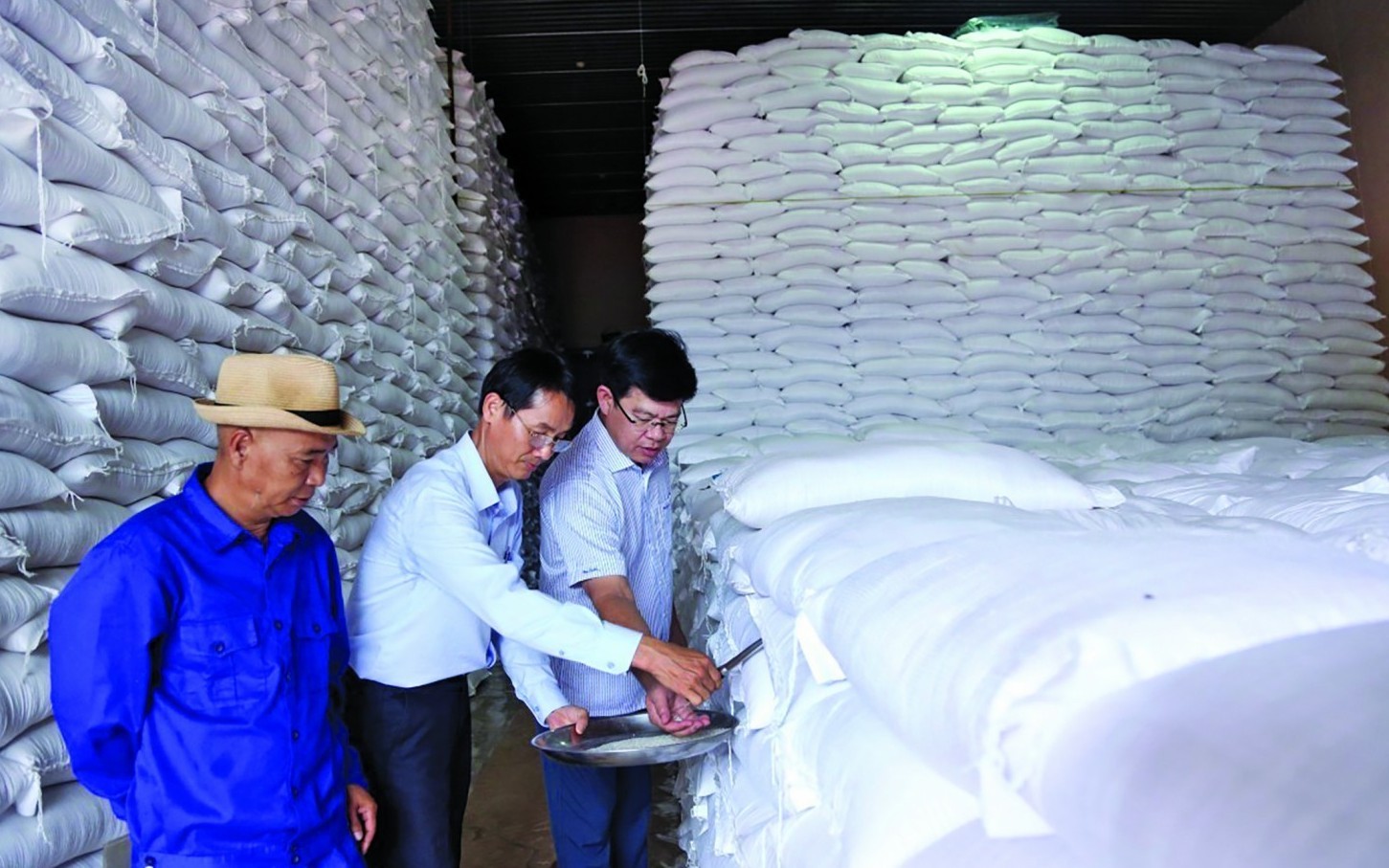 Chi cục Dự trữ Nhà nước khu vực II: Xuất cấp kịp thời, bảo đảm an toàn nguồn lực dự trữ quốc gia