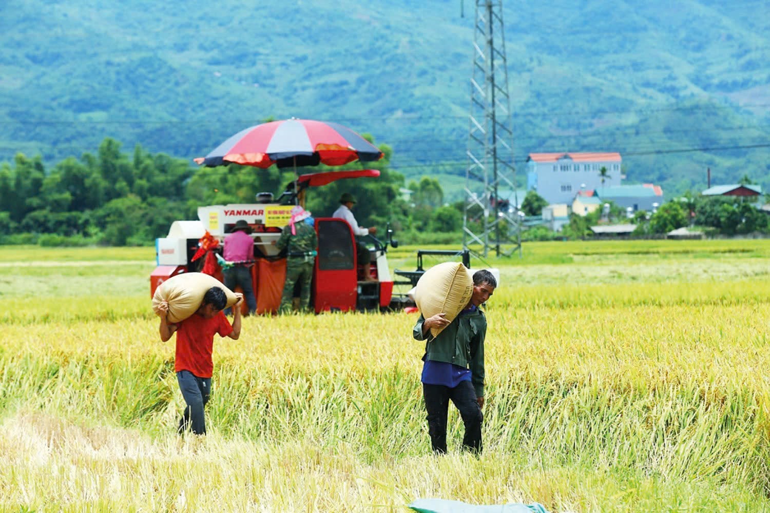 Chương trình mục tiêu quốc gia: Khẩn trương đưa vốn đến nơi cần