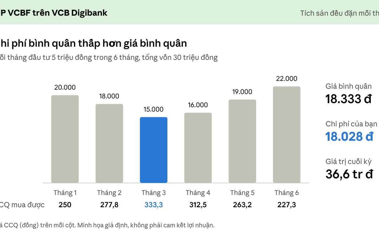 Đầu tư định kỳ: Lời giải cho bài toán "có tiền nhàn rỗi nhưng không có thời gian"