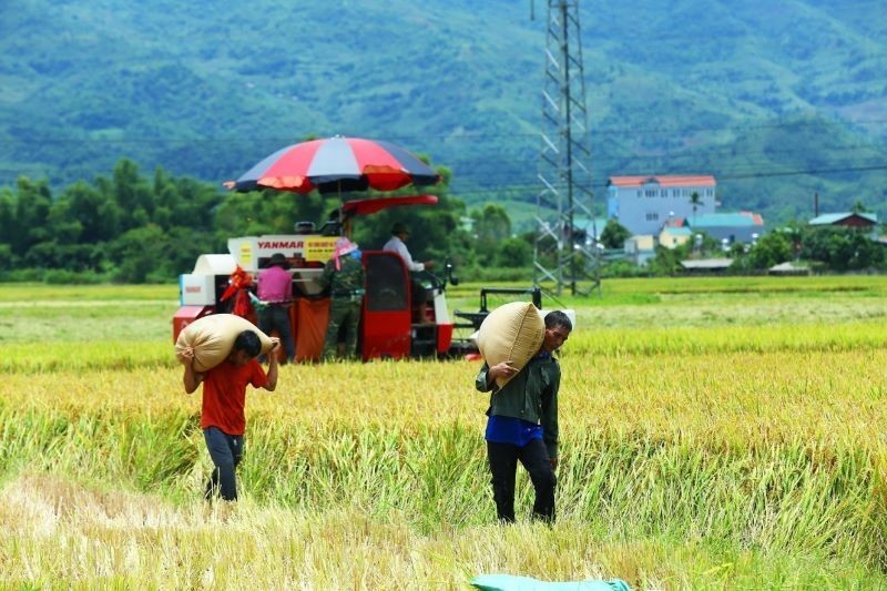 Đề xuất cơ chế mới để vận hành Chương trình mục tiêu quốc gia sau hợp nhất Đề xuất cơ chế mới để vận hành Chương trình mục tiêu quốc gia sau hợp nhất