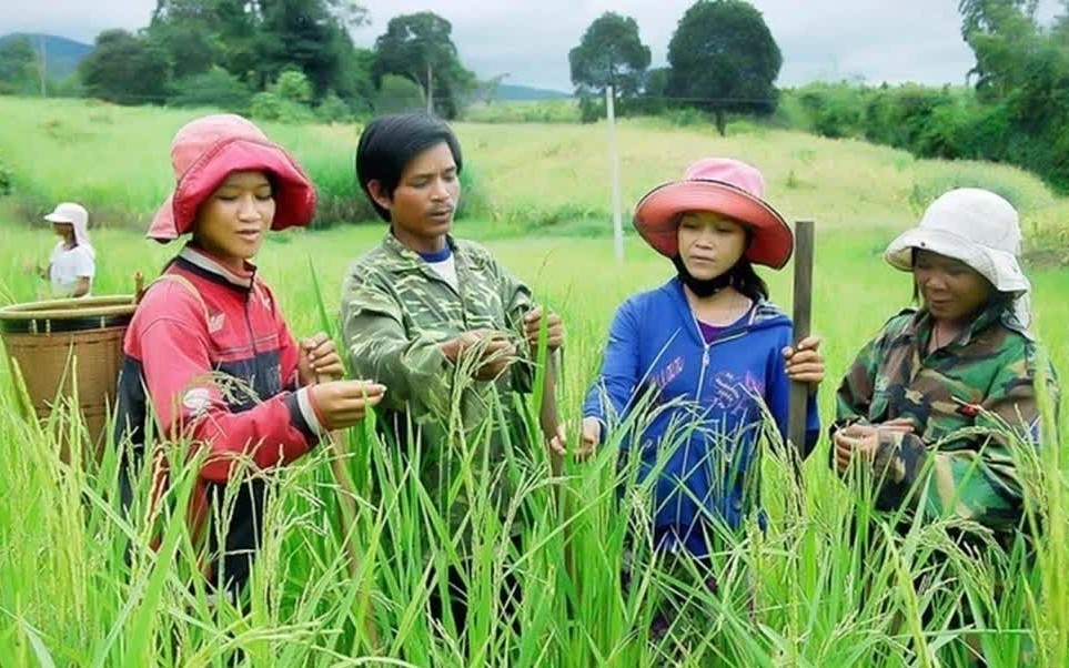 Đề xuất loạt cơ chế mới thực hiện Chương trình mục tiêu quốc gia 2026 - 2035
