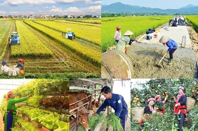 Giải ngân vốn các chương trình mục tiêu quốc gia còn chậm