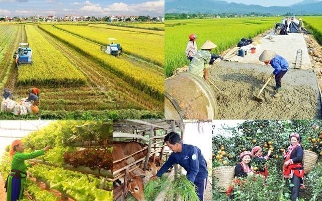 Giải ngân vốn các chương trình mục tiêu quốc gia còn chậm