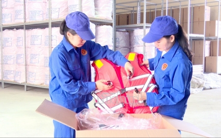 Danh mục chi tiết hàng dự trữ quốc gia do Bộ Tài chính trực tiếp quản lý
