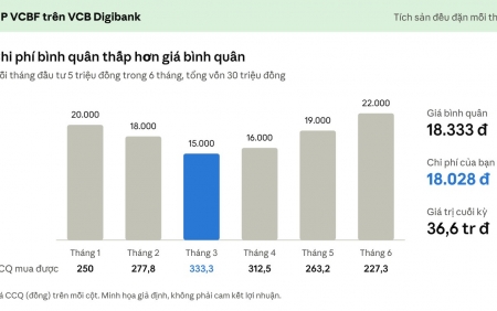 Đầu tư định kỳ: Lời giải cho bài toán "có tiền nhàn rỗi nhưng không có thời gian"
