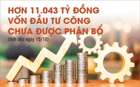 Infographics: Còn 11.043,2 tỷ đồng vốn đầu tư công chưa được phân bổ chi tiết