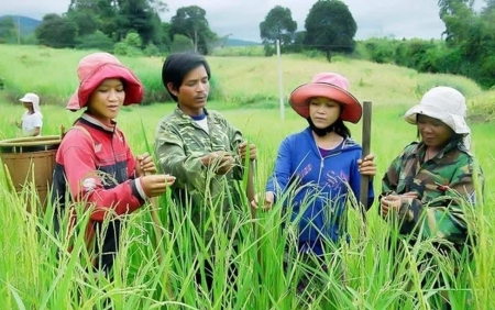 Phân cấp mạnh, đưa nguồn lực Chương trình mục tiêu quốc gia đến gần người dân