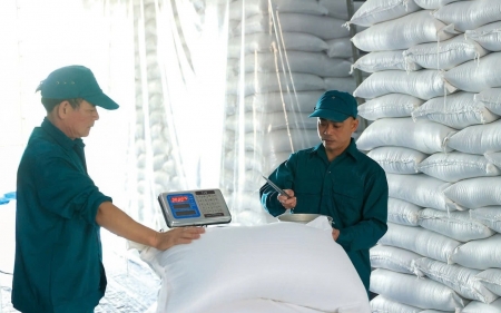 Xuất cấp hơn 5.567 tấn gạo dự trữ hỗ trợ học sinh